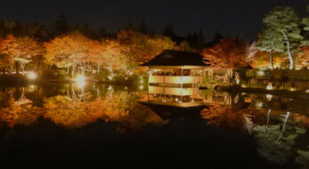 国営昭和記念公園「秋の夜散歩2022」開催！水面に映る日本庭園が圧巻