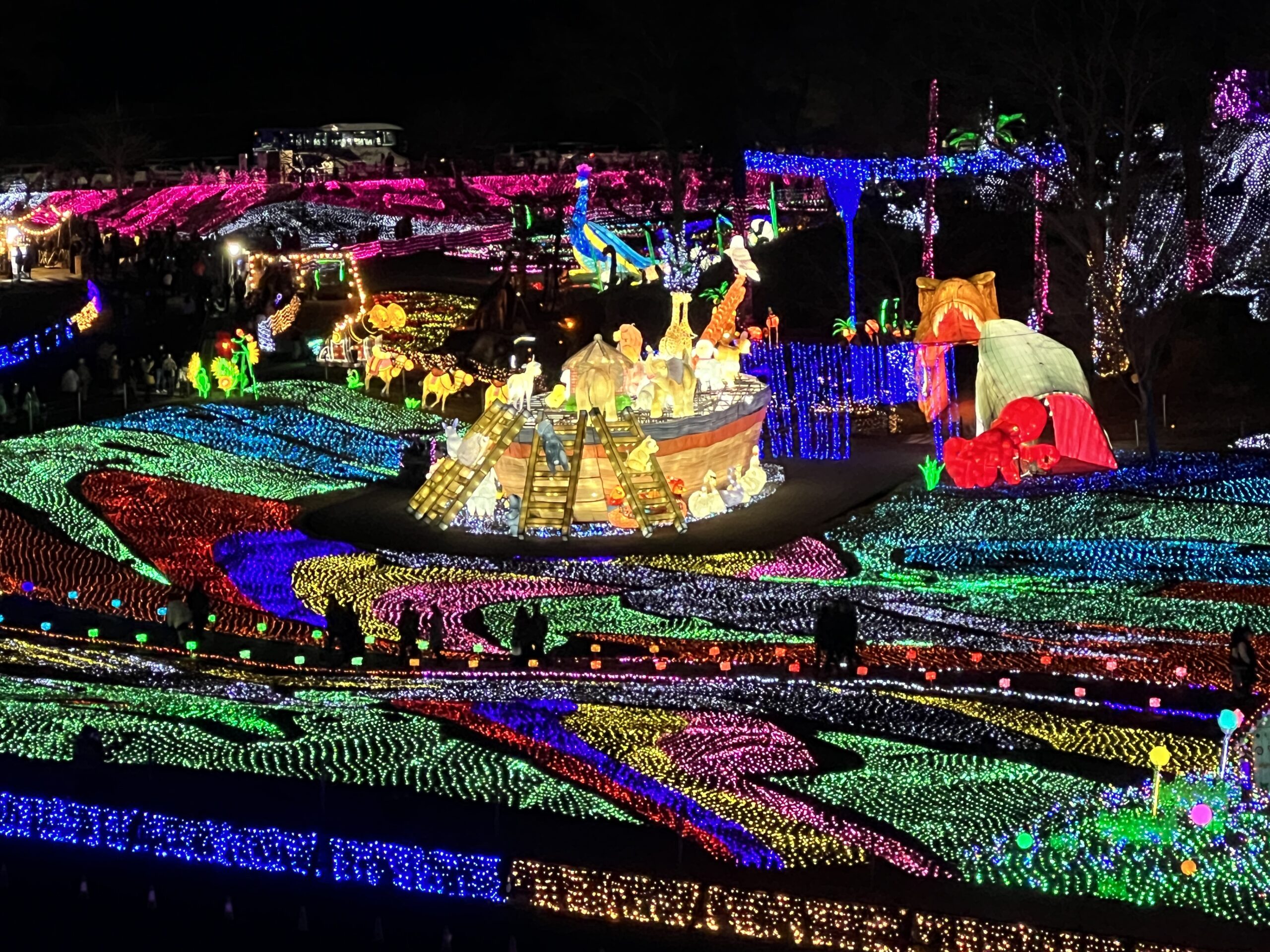 東京ドイツ村のイルミは春まで楽しめる！極彩色の「光の地上絵」が凄すぎ！