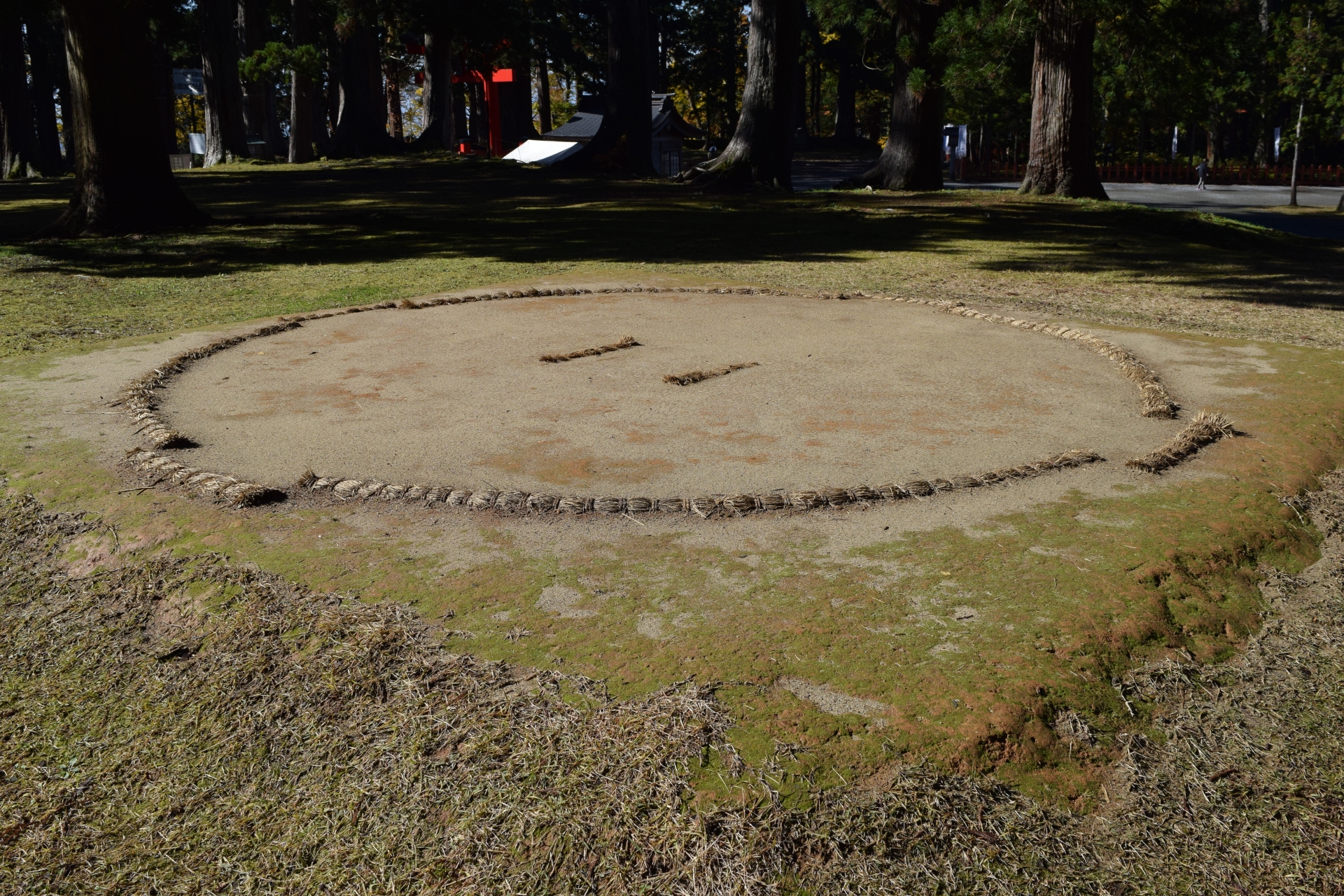 土俵は女人禁制…ではなかった！？古代からの「女相撲」の歴史に、女性だけが土俵に上がれる祭礼も！