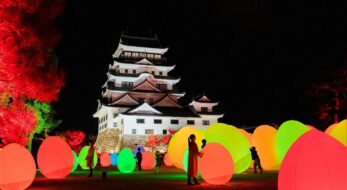家康の従弟！「チームラボ 福山城 光の祭」が開催中の福山藩祖・水野勝成はどんな人物だったのか