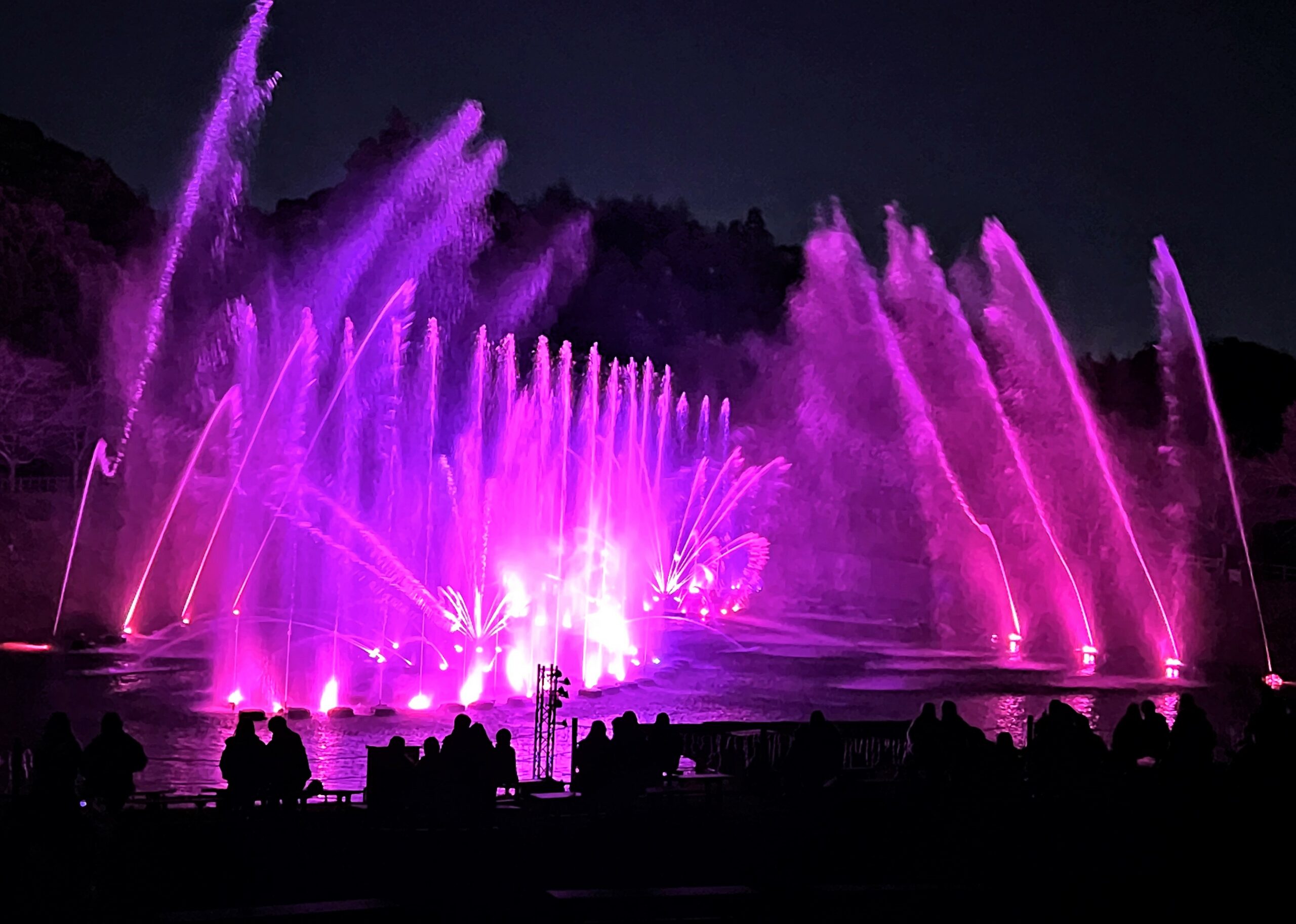 噴水ショーは必見！1月までの「はままつフルーツパーク時之栖」イルミへ急げ！