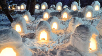 東日本唯一の現存天守「弘前城雪燈籠まつり」が開催される弘前城を築城した津軽信牧の功績