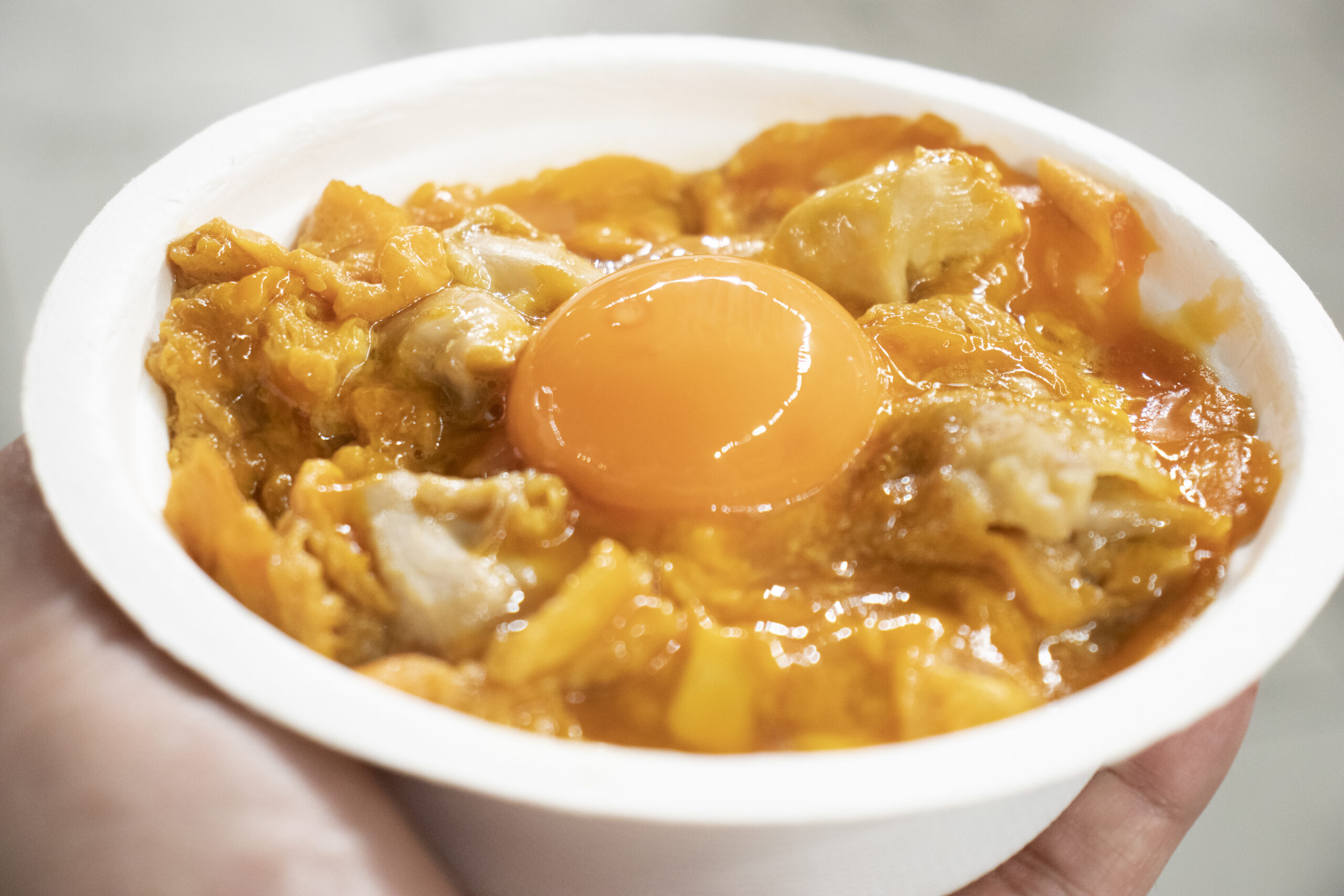 ふるさと祭り東京2023の「ご当地どんぶり選手権」全どんぶり完全実食レポ！