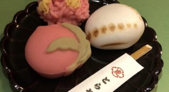 ＜とらや＞10店舗限定販売！ひなまつり、桜、菜の花♪春の和菓子を実食レポ◎2023年版