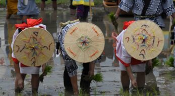三大御田植祭とは？いつ・どこで開催？大阪の住吉大社、三重の伊雑宮、あと一つはどこ？