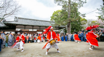 京都三大奇祭とは？いつ開催？やすらい花、火祭、牛祭って一体どんな祭り？