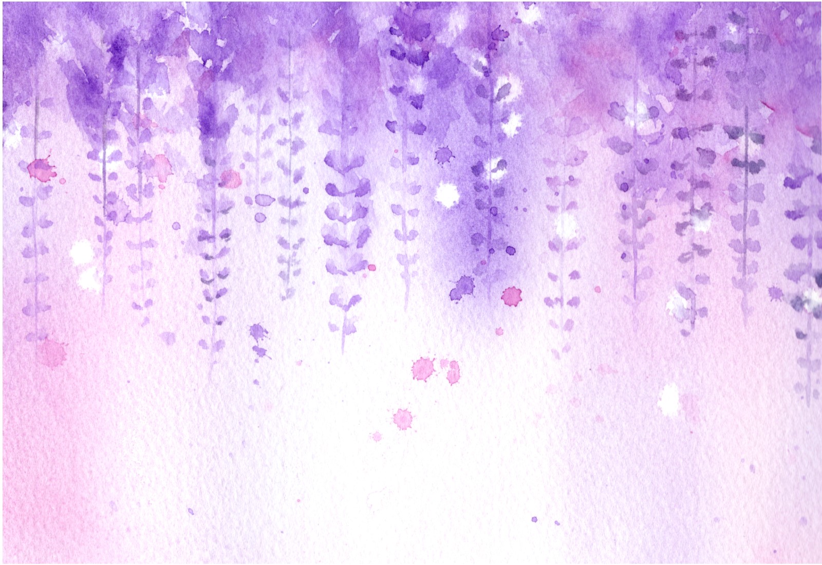 いまが見頃の藤が見られるお寺も！全国の「藤の花」御朱印5選！