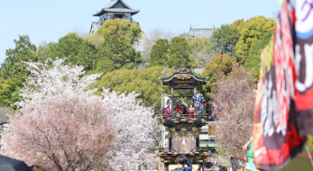 犬山祭が4年ぶり通常開催！13輌の車山が城下町を進む。からくり、夜の提灯は必見