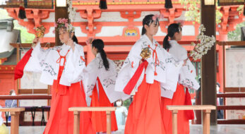 鎮花祭で疫神を鎮める。童女による花しづめの舞が必見、武蔵一宮氷川神社の春祭り