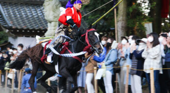 やんさんまって何だ！？疾走する馬、流鏑馬、ここにしかない奇祭「牛乗式」