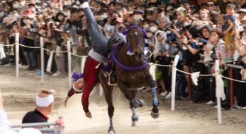 チャンスは一度！藤森神社「駈馬神事」の生死を賭けた実戦馬術の迫力がすごい！