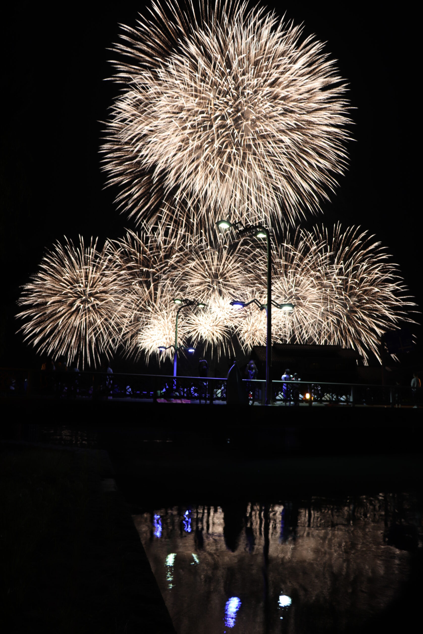 7月は『君は放課後インソムニア』聖地へ！能登「七尾港まつり」で星降るまちに花火が上がる！