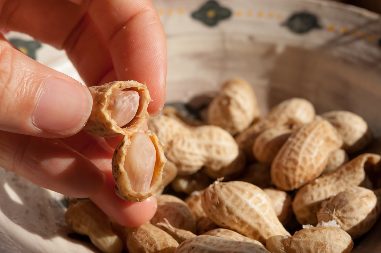 千葉県民が愛するご当地グルメは？落花生だけじゃない！厳選10選（2023年版）