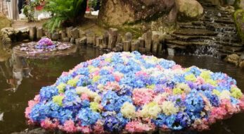 今が見頃！有名スポットから穴場まで関東の「あじさいの名所」15選＆2023年「あじさい祭り」情報