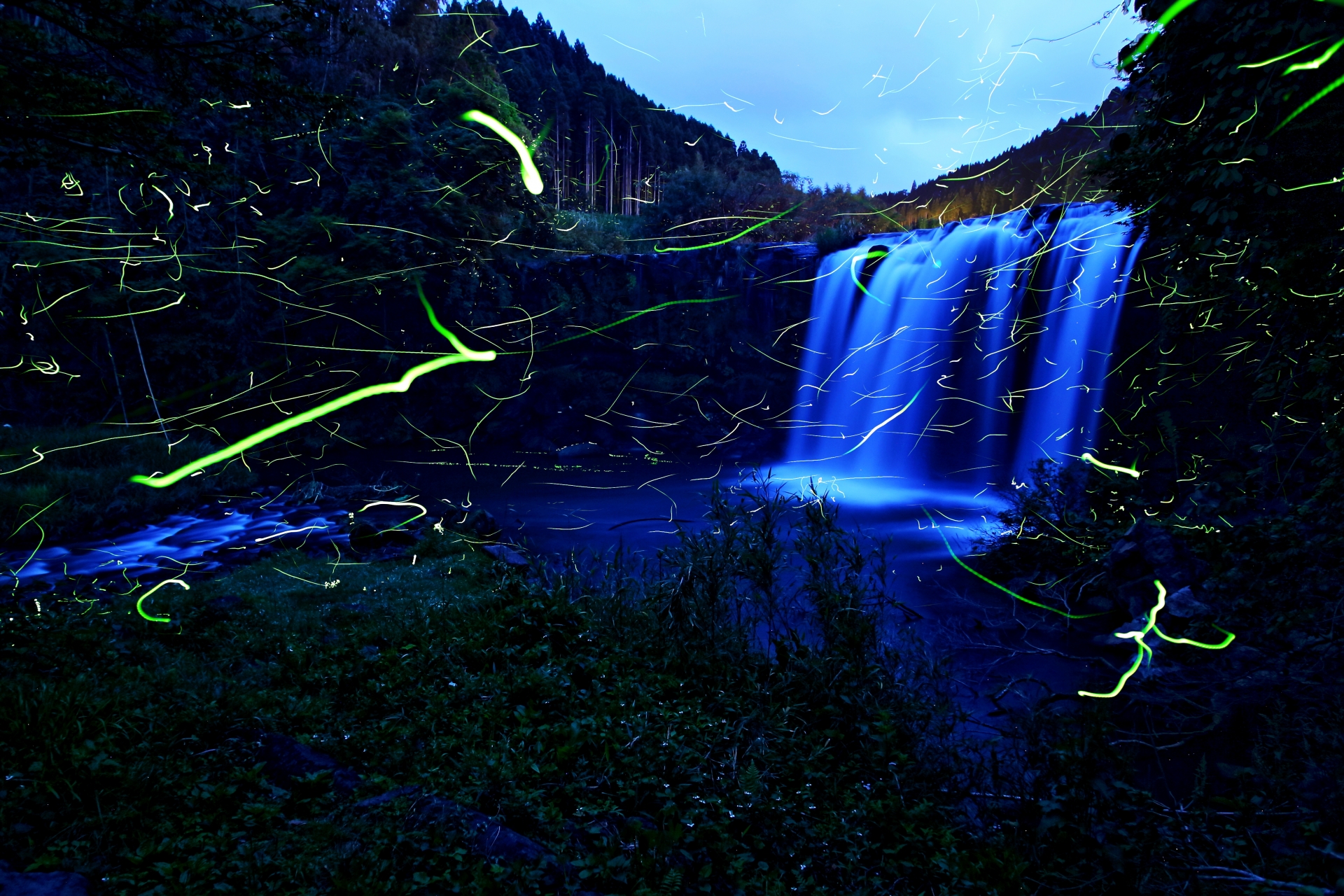 蛍が見られて御朱印ももらえる！全国の限定「ほたる御朱印」と名所の神社4選！