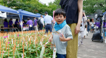 「文京朝顔・ほおずき市」東京・文京区の4つの寺院が彩る夏の始まり！2025年開催情報
