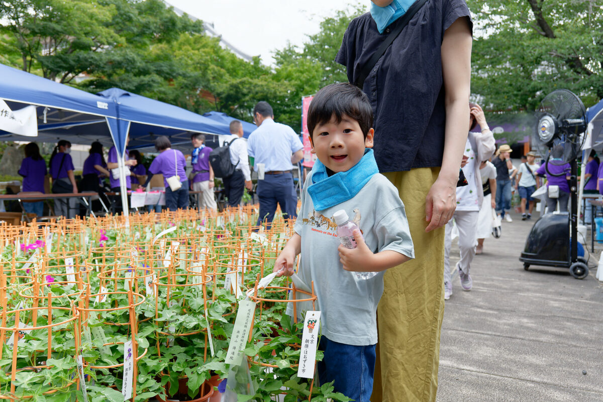 「文京朝顔・ほおずき市」東京・文京区の4つの寺院が彩る夏の始まり！2025年開催情報