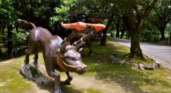 木曾義仲と「メルヘンおやべ源平火牛まつり」〜「火牛の計」とはどんな戦いだったのか？