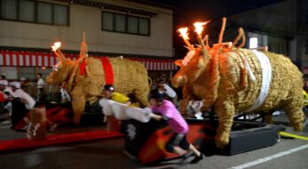 木曾義仲と「メルヘンおやべ源平火牛まつり」〜義仲とはどんな人物だったのか？波乱の生涯