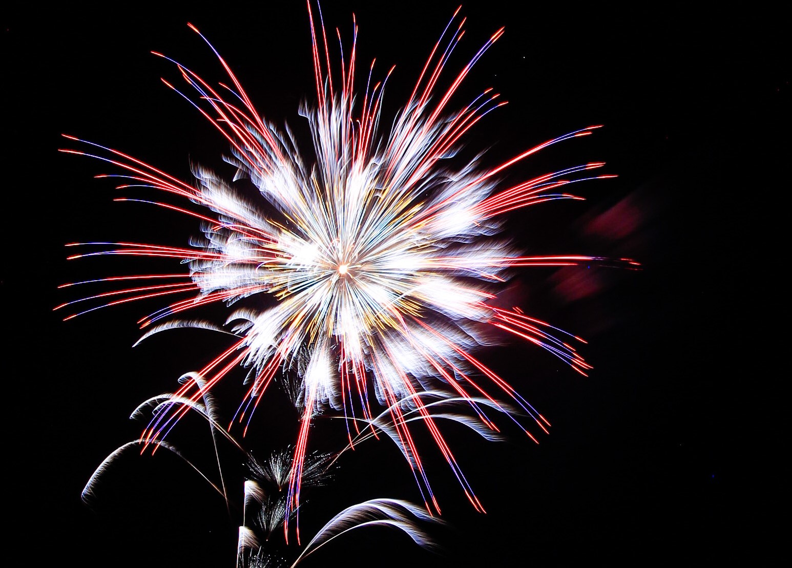 神宮に捧げる4年ぶりの花火！「伊勢神宮奉納全国花火大会」競技内容や当日の様子は？