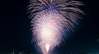 横浜・金沢まつりが復活！金沢八景の海に賑わいが戻る