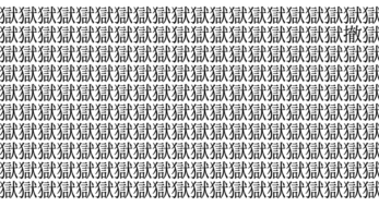 難易度インフェルノ級！ 5秒で仲間外れを見つけられたら神！＜お祭り脳トレ＞