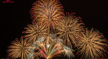 2023年夏の花火大会・開催情報まとめ【中国・四国編】8月～9月〈8/31更新〉