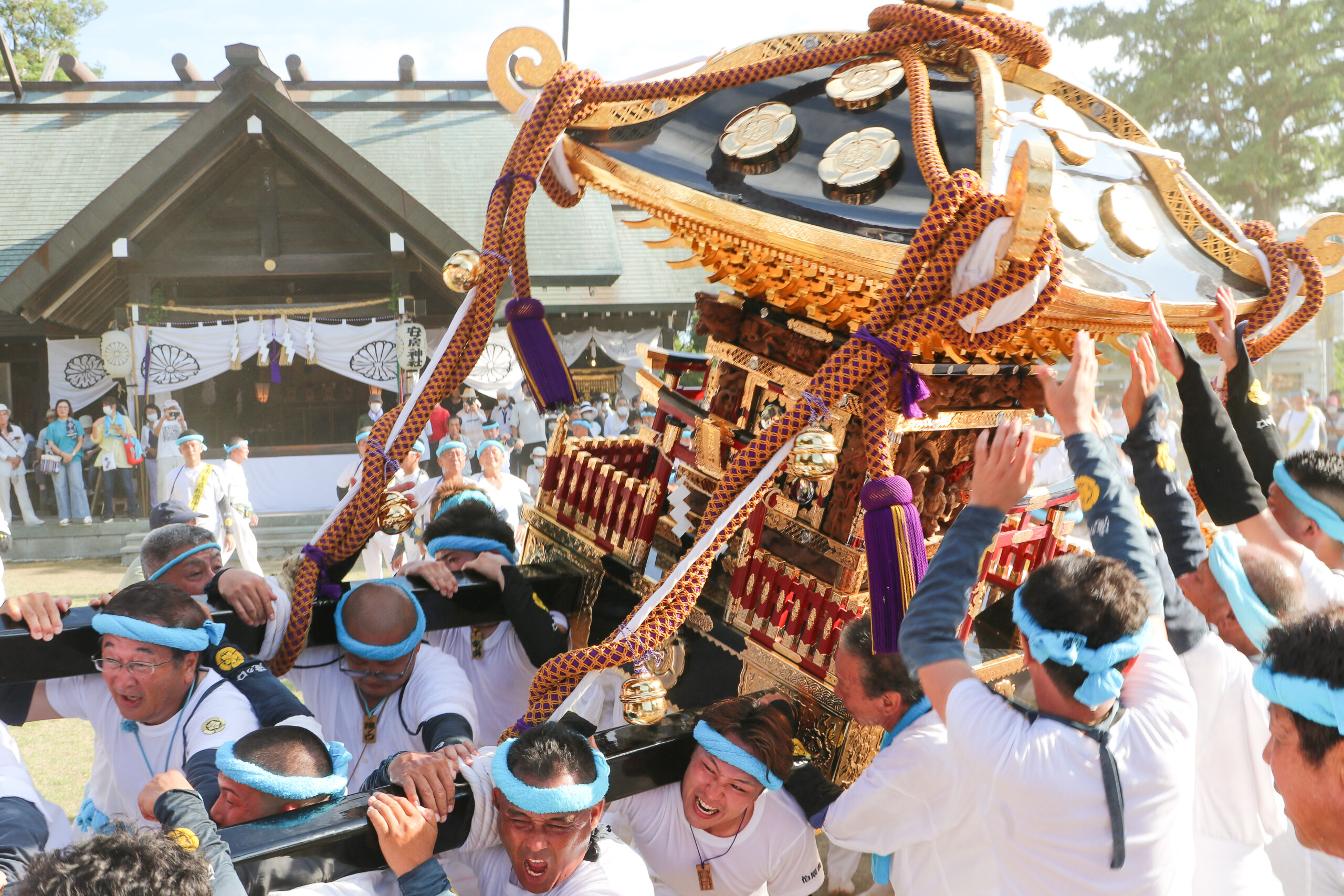 やわたんまちが令和初の通常開催！神輿、山車、お船が練り歩く館山の秋祭り