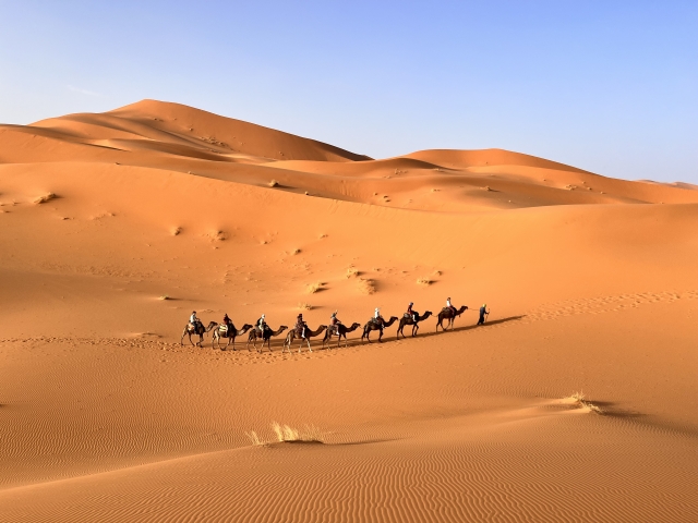 意外すぎる！ 東京には「砂漠」があるってみんな知ってた？