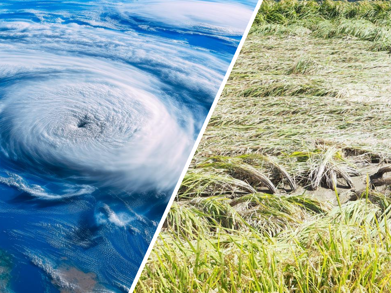 9月にやってくる「三大厄日」とは？どんな日？何をする？呪術や風習、祭りで被害を免れる！？