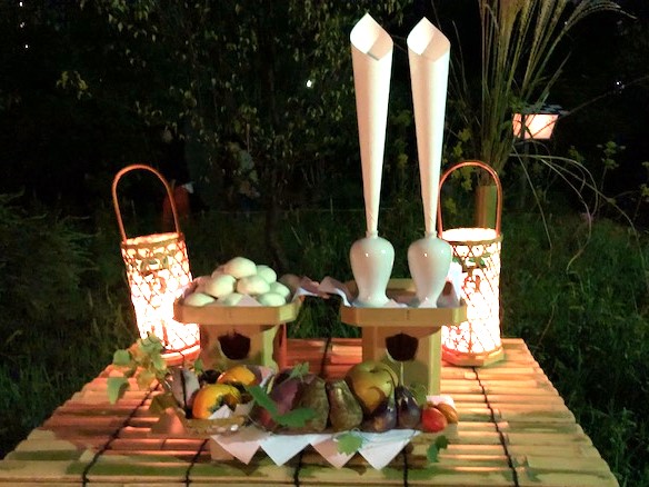 向島百花園の「月見の会」をレポート！幻想的な夜の庭園で行灯や茶席を楽しむ