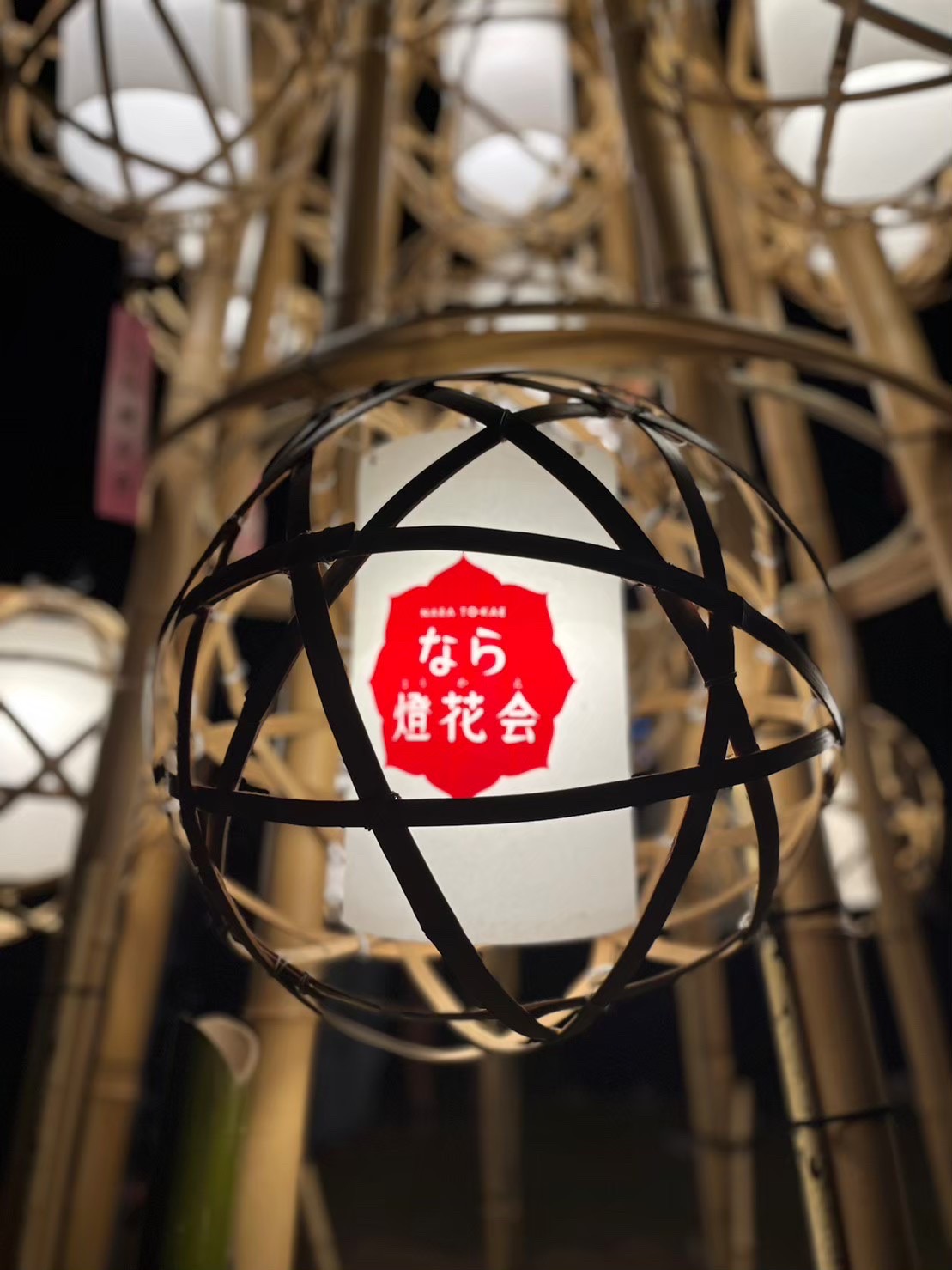 【教育連携】奈良市の2023年「なら燈火会」！私たちがインスタ映えスポット紹介します！