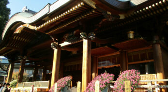 2024年11月開催！文京菊まつり（湯島天神菊まつり）親子で楽しめる♪見どころをご紹介＜東京＞