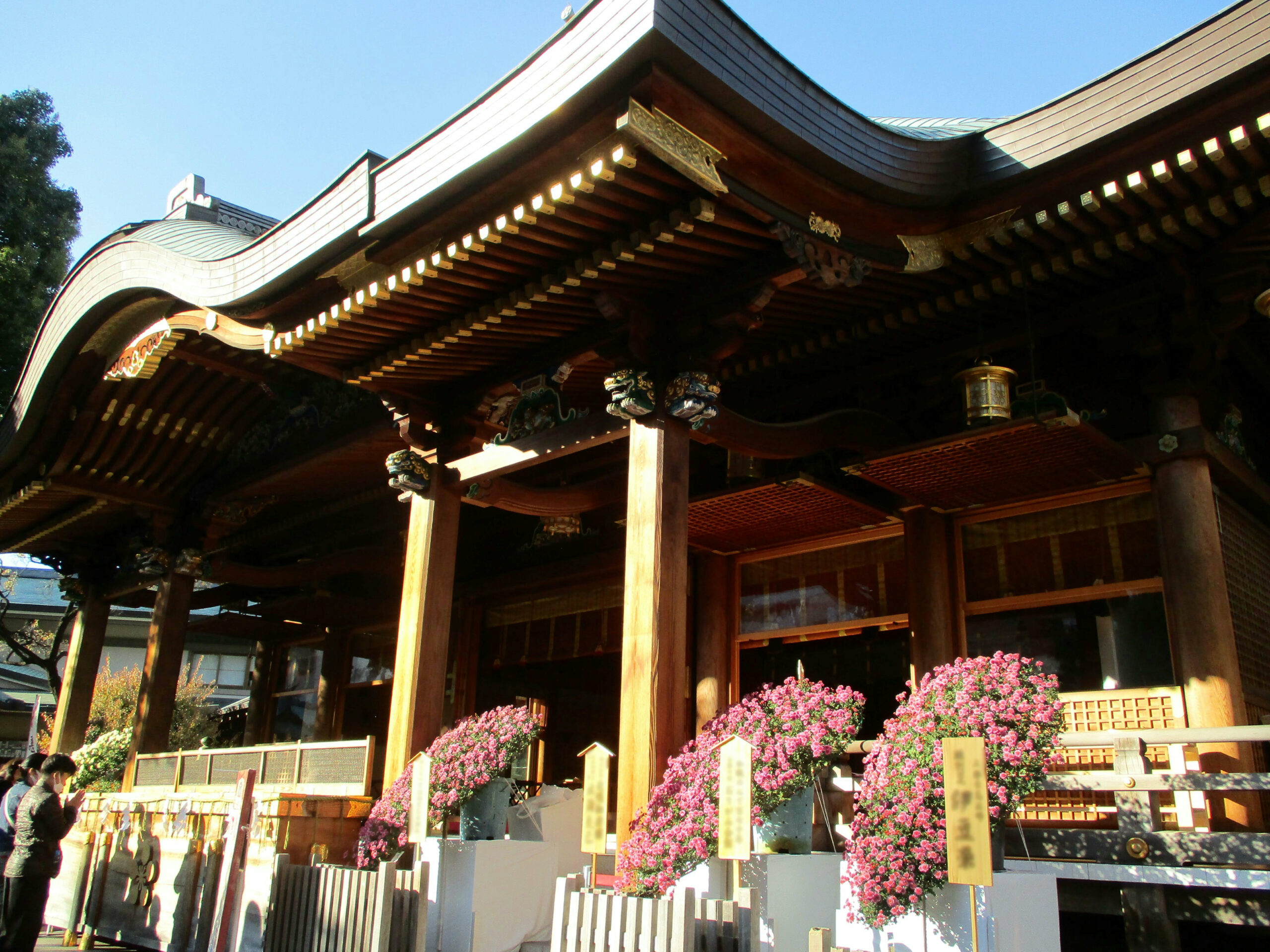 2024年11月開催！文京菊まつり（湯島天神菊まつり）親子で楽しめる♪見どころをご紹介＜東京＞