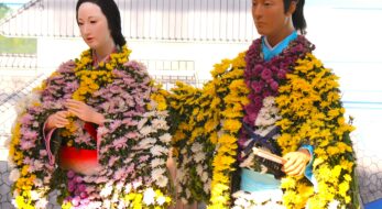 【2025年最新版】湯島天神「文京菊まつり」の見どころ＆開催情報｜菊人形・アクセス・屋台も紹介！