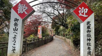 2023年はまだ紅葉が見頃！御岳山の秋を感じる「御岳山天空もみじまつり」現地レポート