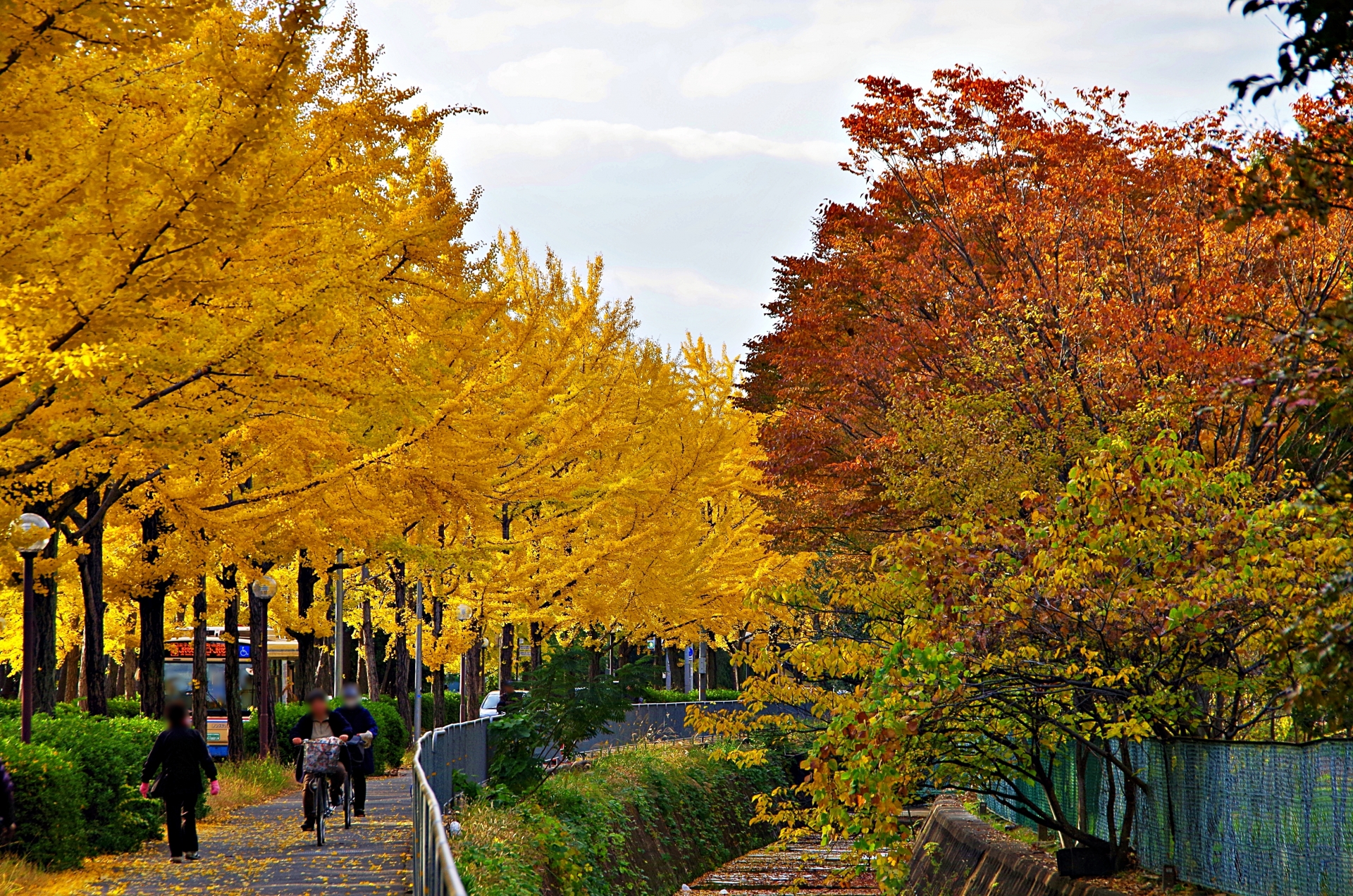 関東近郊の紅葉が見頃！2023年はイベントも♪人気スポット15選＜南関東＆山梨・静岡編＞