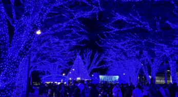 この冬も渋谷が青に染まる！「青の洞窟 SHIBUYA」2023年は新たにクリスマスマーケットも！