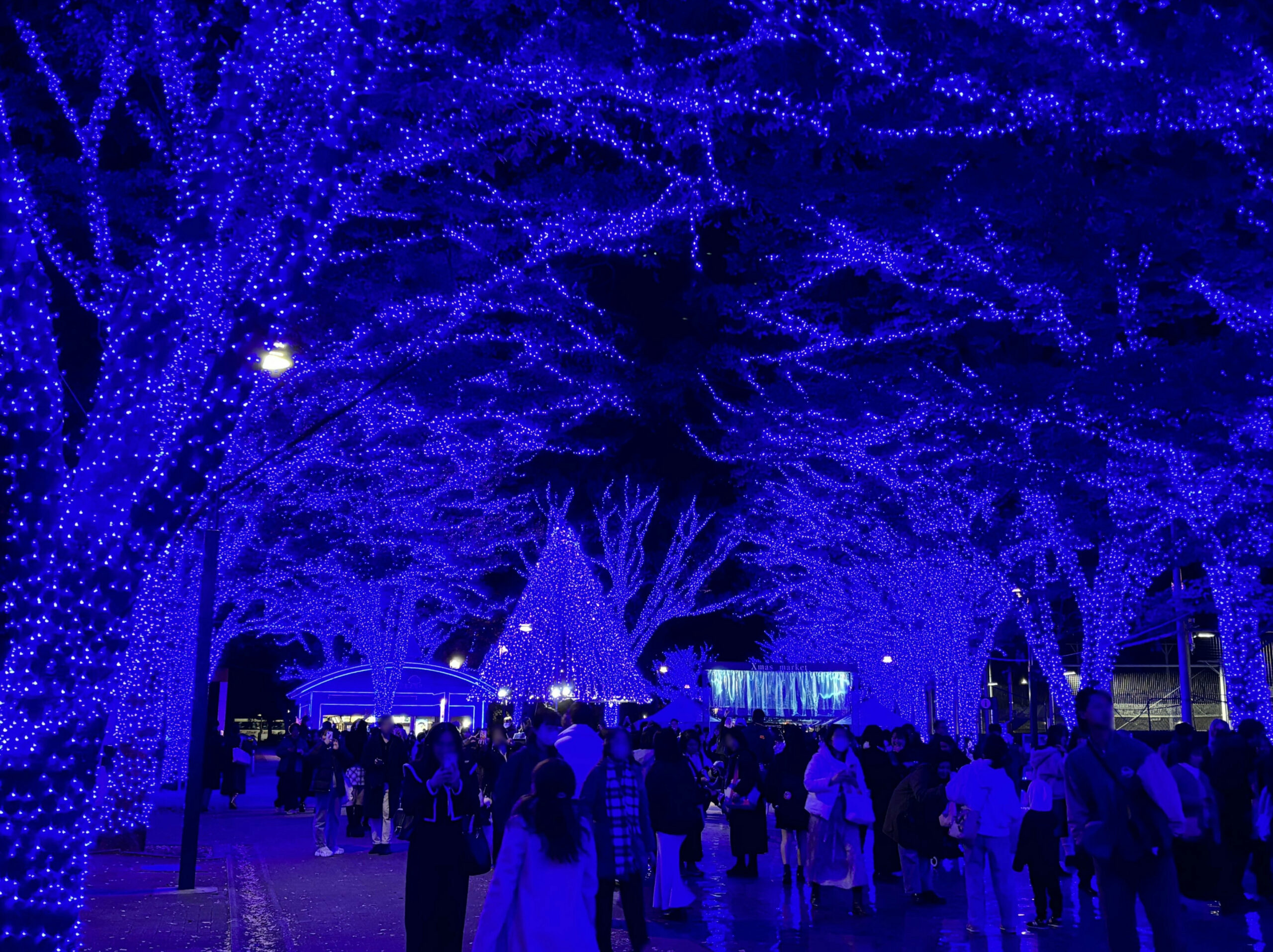この冬も渋谷が青に染まる！「青の洞窟 SHIBUYA」2023年は新たにクリスマスマーケットも！