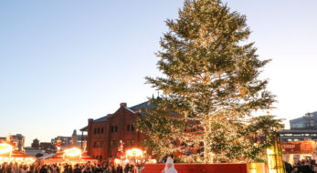 Christmas Market in 横浜赤レンガ倉庫が過去最大規模で開催中！クリスマスグルメ、グッズを楽しもう