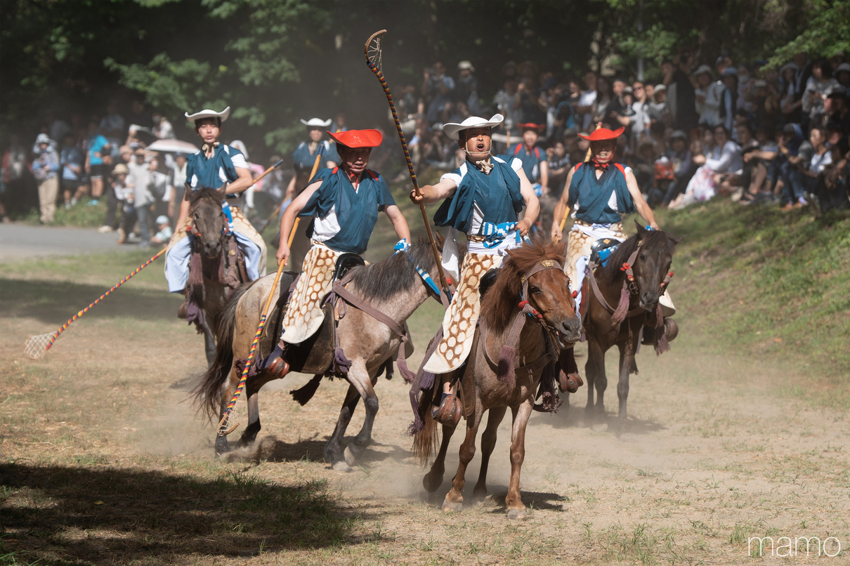 旧八戸藩で200年続く和製ポロ「騎馬打毬」に迫る存続危機　南部家当主がお国入りを繰り返す理由とは